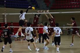 博彩政策的渐进式改革（博彩政策的阶段性改革）